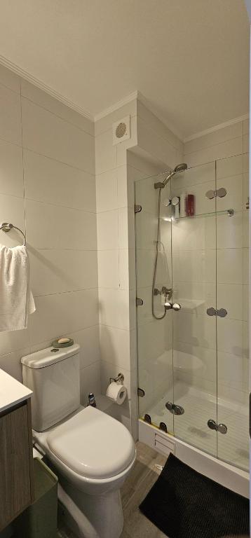 Departamento Centro Plaza 403