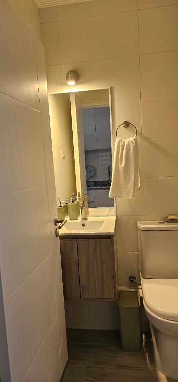 Departamento Centro Plaza 403