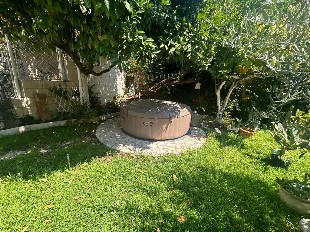 Κήπος έξω από το Garden Antique with Bubble Spa
