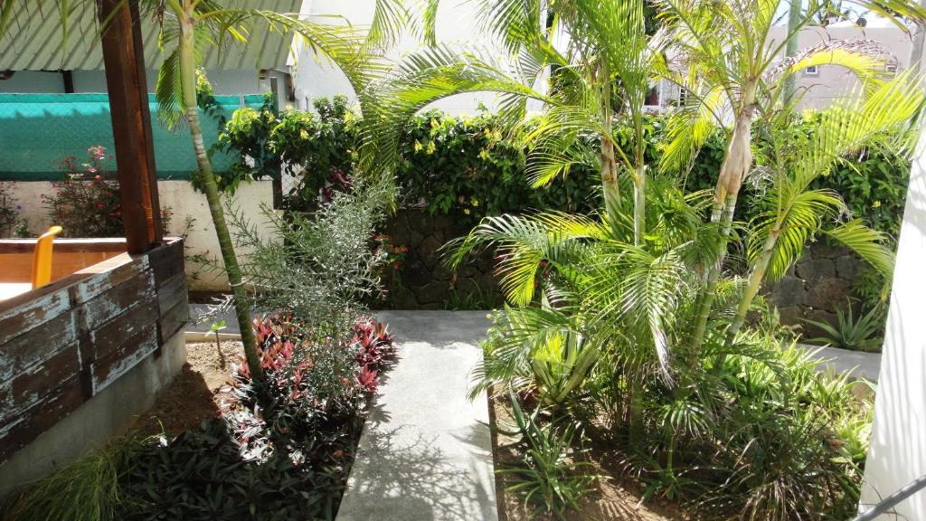 Colibri Beach Villas - 1