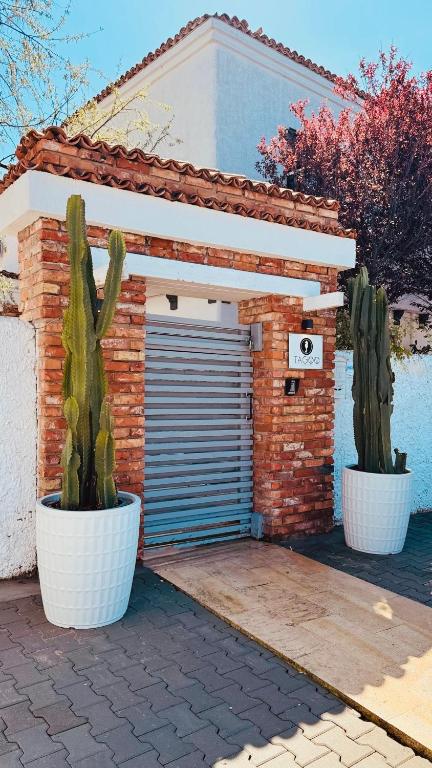 a garage with two cactuses in front of it at Tagoo Vama Veche in Vama Veche