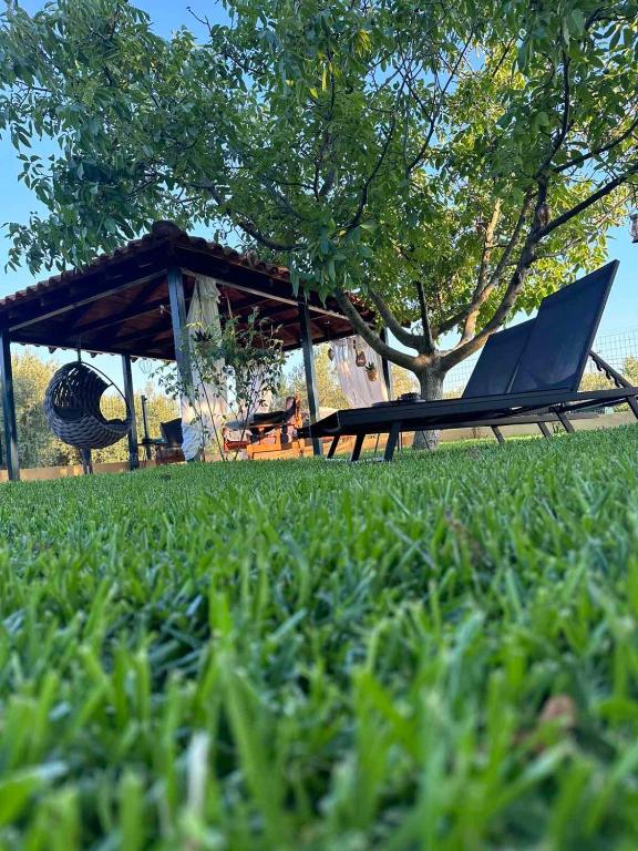 a picnic table and a chair in the grass at Villa Mihaila in Ofrínion