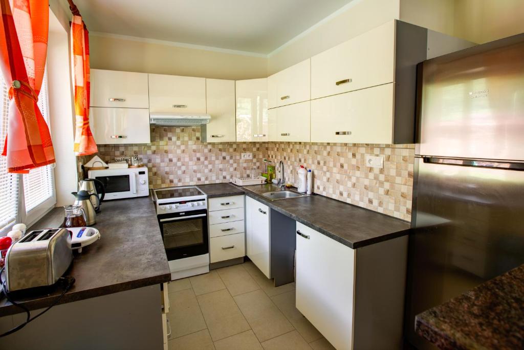 Kuchyň nebo kuchyňský kout v ubytování Apartmány Lenka