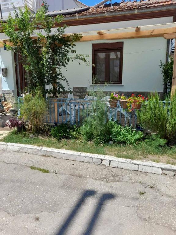 Vonkajšia záhrada v ubytovaní BACI HOUSE
