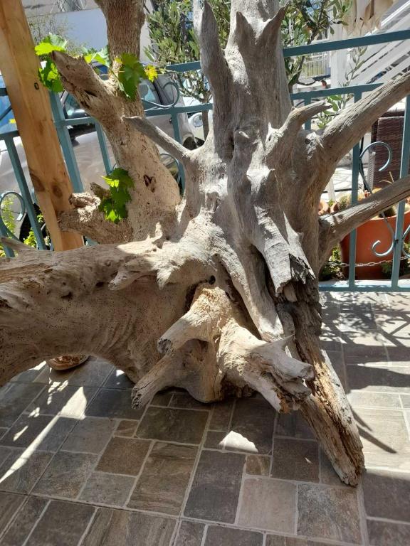 Fotografia z galérie ubytovania BACI HOUSE v destinácii Limenas