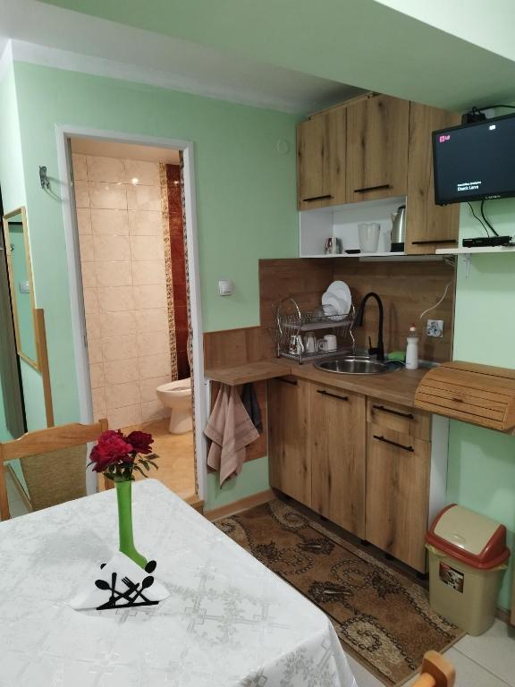 Kuchyň nebo kuchyňský kout v ubytování Aleks Guest House
