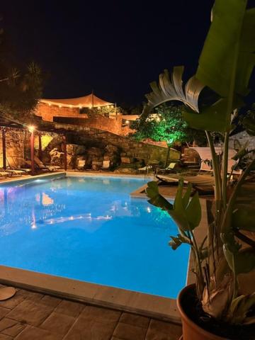 a large blue swimming pool at night with a plant at Stenakas Apartments in Chios