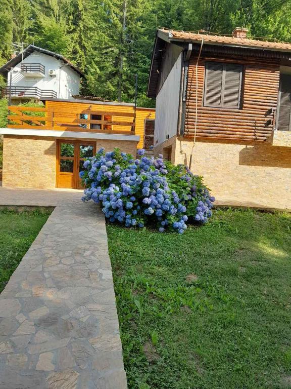 Zahrada ubytování Planinska vikendica Rudnik