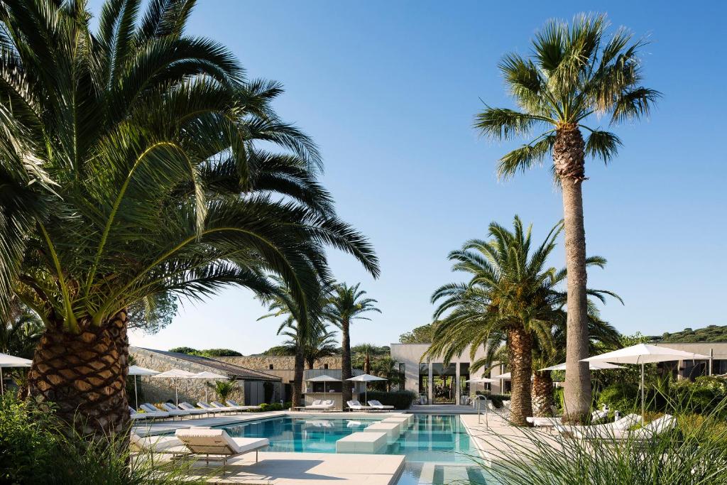 un complexe avec des palmiers et une piscine dans l'établissement Sezz Saint-Tropez, à Saint-Tropez