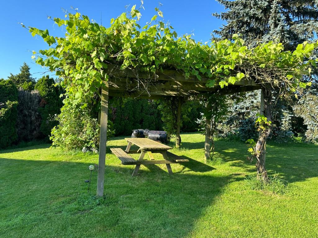 Zahrada ubytování Gîte de Solama avec SPA