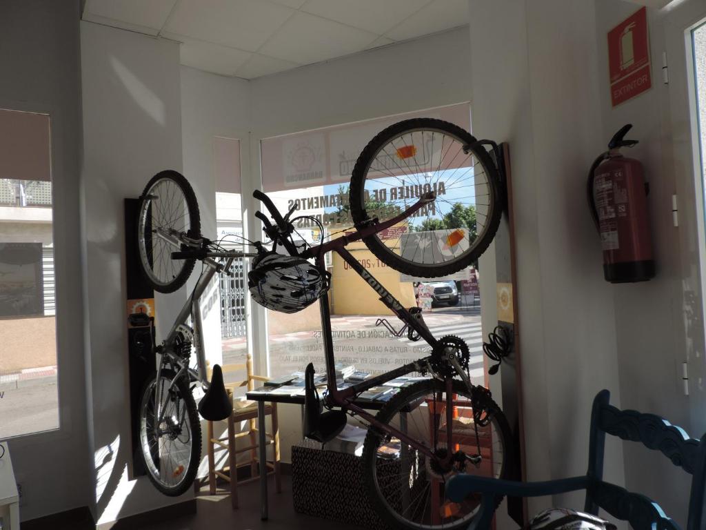 Montar en bicicleta en Apartamento Barbancho o alrededores