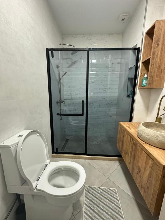 Un baño con inodoro y ducha de cristal. en NBG tower, en Batumi