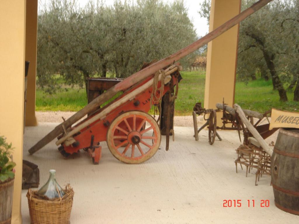 Vonkajšia záhrada v ubytovaní Agriturismo Il Truffarello TODI