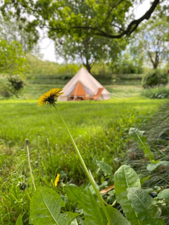 Zahrada ubytování Tenda Glamping Medaglie d'Oro