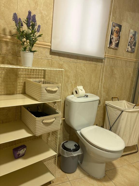 Apartamentos Mayte - 18