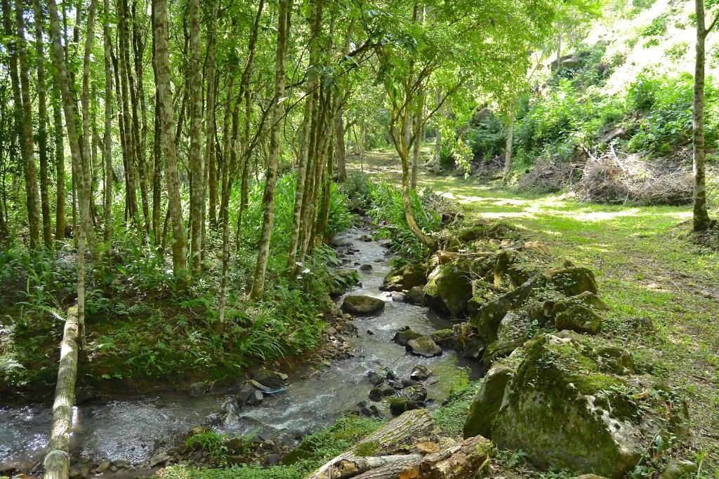 Stillo Gramado Bella Itália  Stillo Gramado Bella Itália