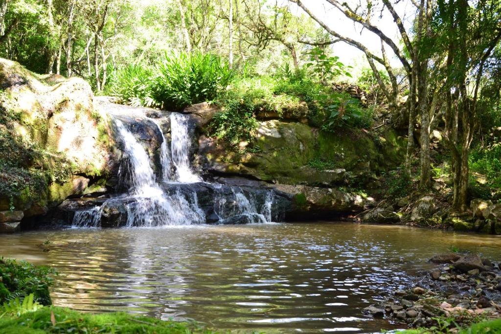 Naturlandskabet i nærheden af lejligheden