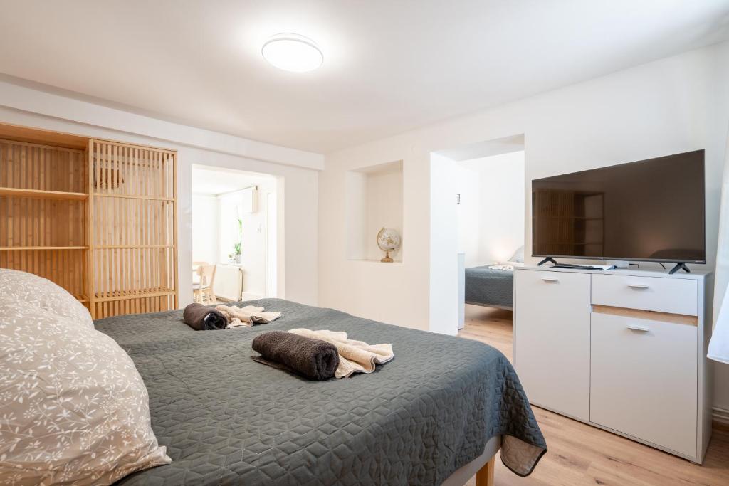 TV a/nebo společenská místnost v ubytování revLIVING Apartments Gars am Kamp