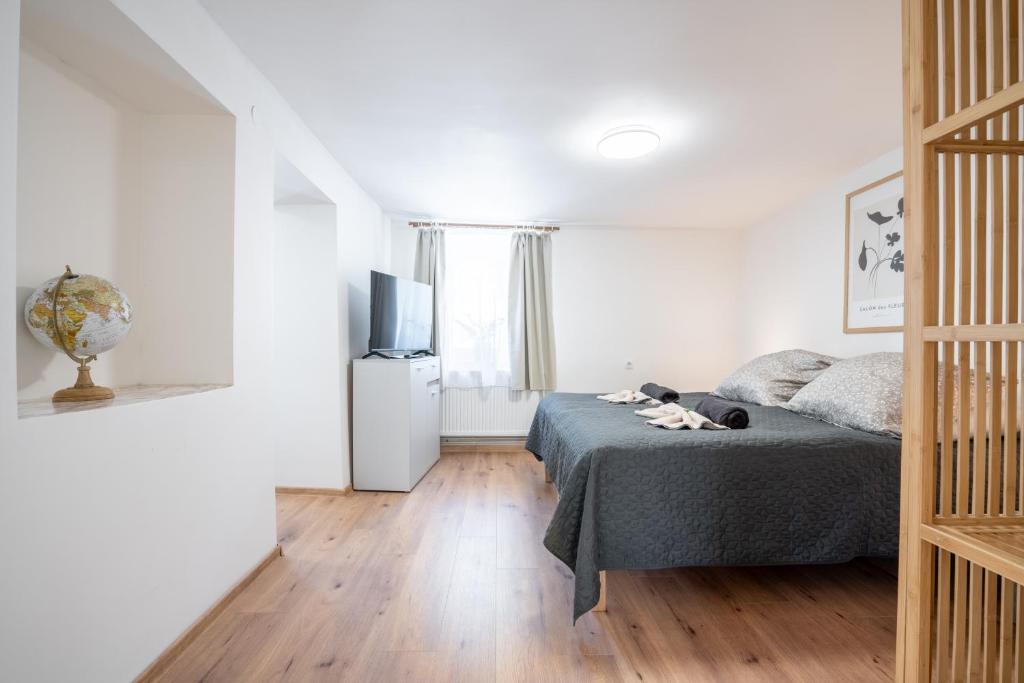 TV a/nebo společenská místnost v ubytování revLIVING Apartments Gars am Kamp
