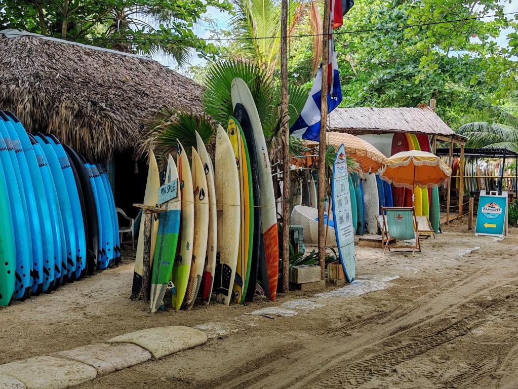 Fotografie z fotogalerie ubytování Surf One v destinaci Sosúa