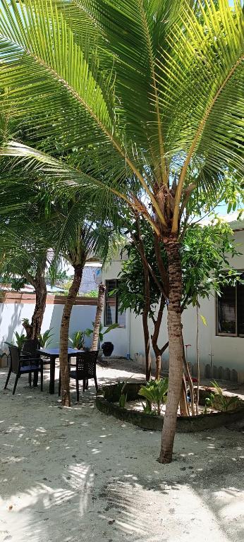 Fotografie z fotogalerie ubytování Manta Sky Inn v destinaci Dharavandhoo