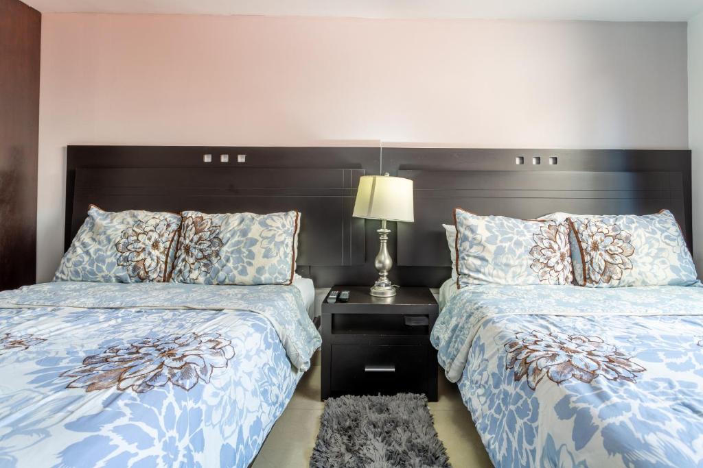 Suites 259 Condesa - Suite Supérieure