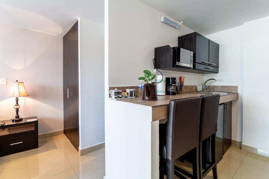 Suites 259 Condesa - Studio Supérieur