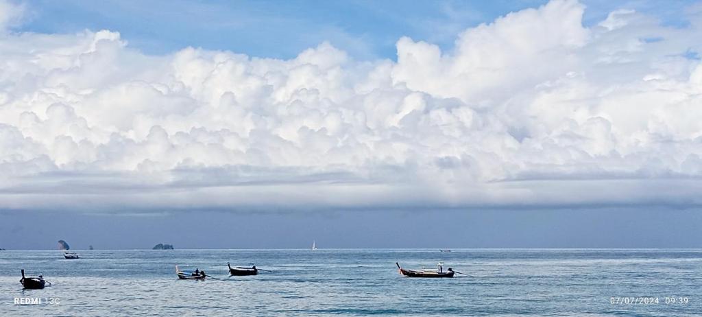 Sea Star House - Resim 24