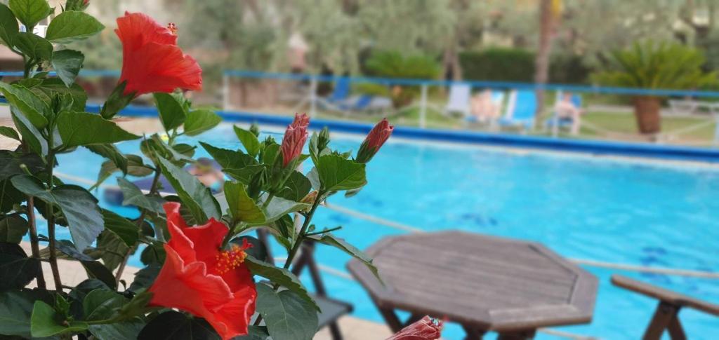 Bazén v ubytování TSIGOURA VERDE RESORT nebo v jeho okolí