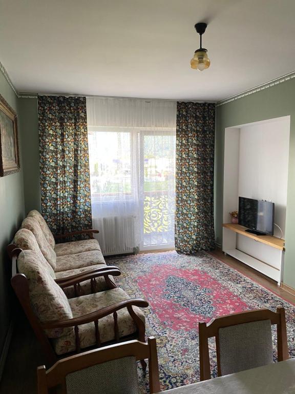 a living room with a couch and a tv at Apartament ultracentral Botis in Sighetu Marmaţiei