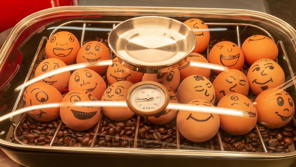 Holiday Inn - the niu, Leo Nuremberg by IHG - Resim 28