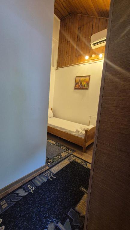 Vila Crinilor - Family Suite