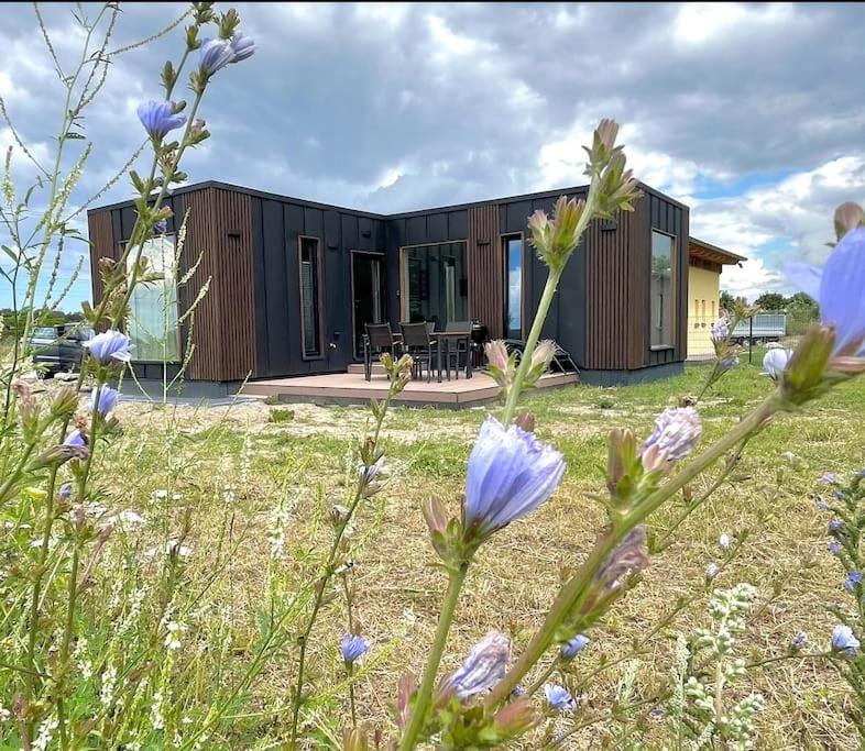 Dargestellt ist ein Haus mit einer Blumenwiese in der Unterkunft Ferienhaus Flora in Altefähr