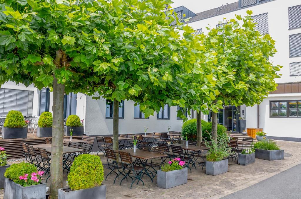 &REPEAT Köln Airport - Resim 14