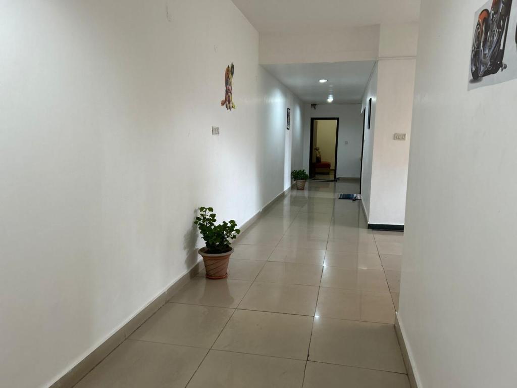 a hallway with white walls and a potted plant at Couple friendly Deluxe Rooms Kasauli Hills Kumarhatti in Dagshai