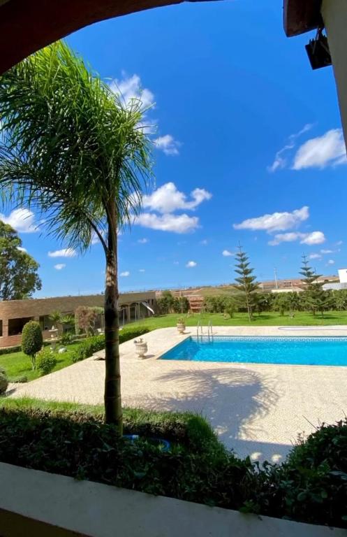 a palm tree next to a swimming pool at Gite jnanefes in El Jadida