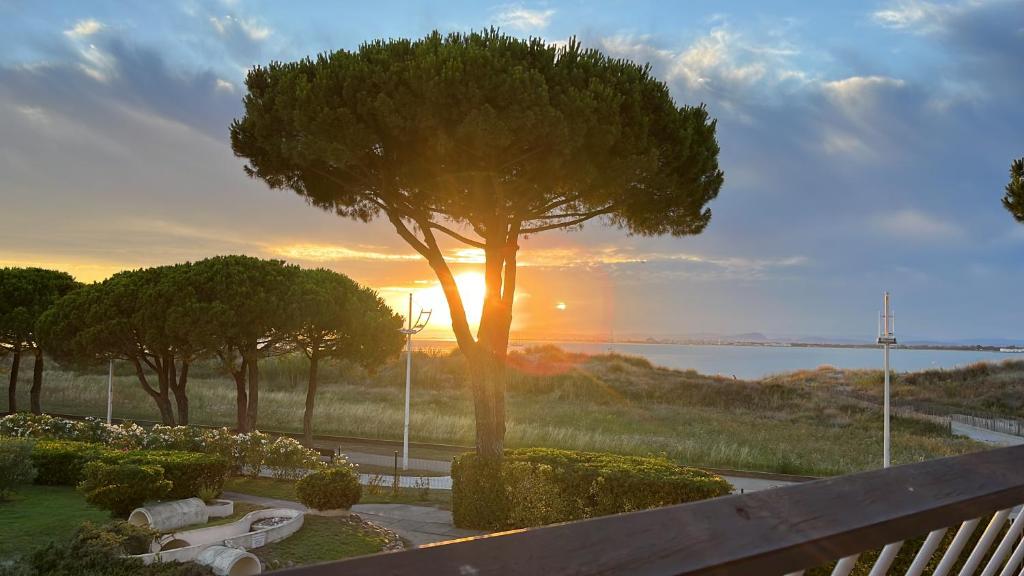 un arbre dans un parc avec le coucher du soleil en arrière-plan dans l'établissement Studio Anny climatisé vue mer avec piscine, au Grau-du-Roi