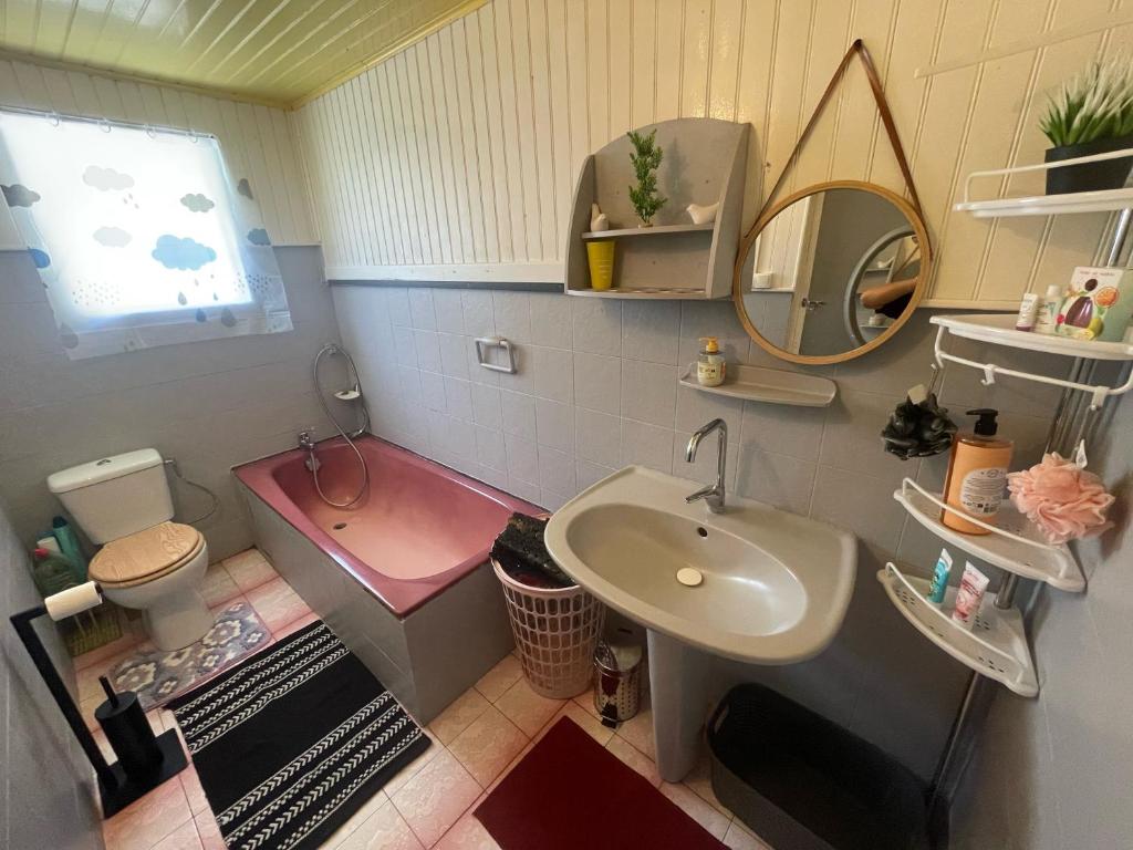 un bagno con lavandino, water e specchio di LE VIGNERON a Cilaos