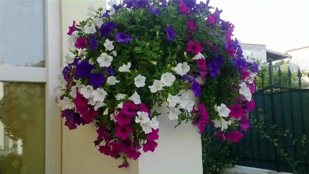 A garden outside Bed and Breakfast Angolo Fiorito