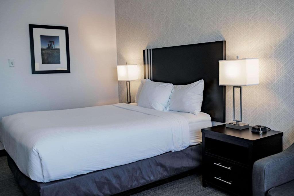 Postel nebo postele na pokoji v ubytování Park Inn by Radisson Edmonton Airport