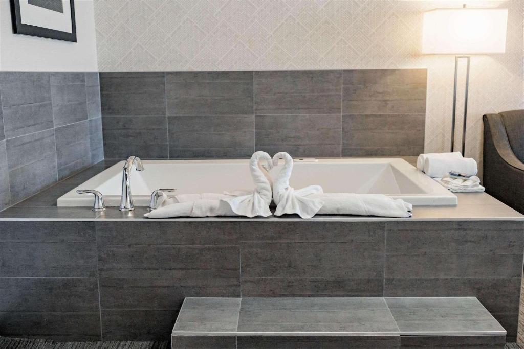 Fotografie z fotogalerie ubytování Park Inn by Radisson Edmonton Airport v destinaci Leduc
