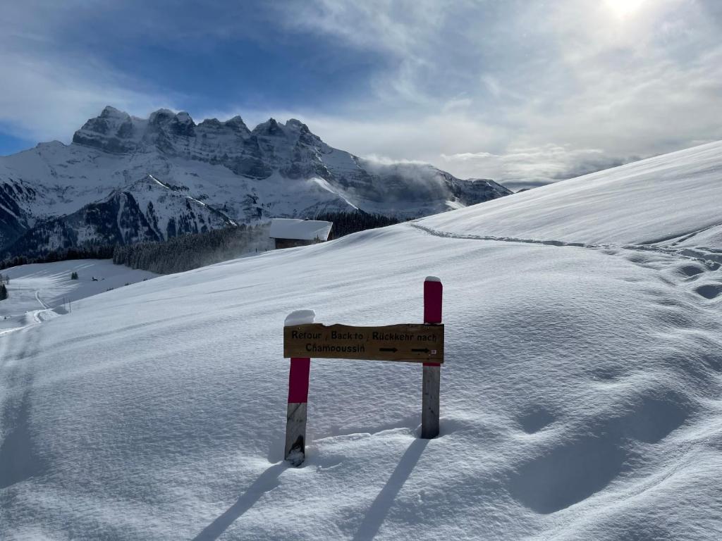Chalet Montriond - Bike & Ski v zimě