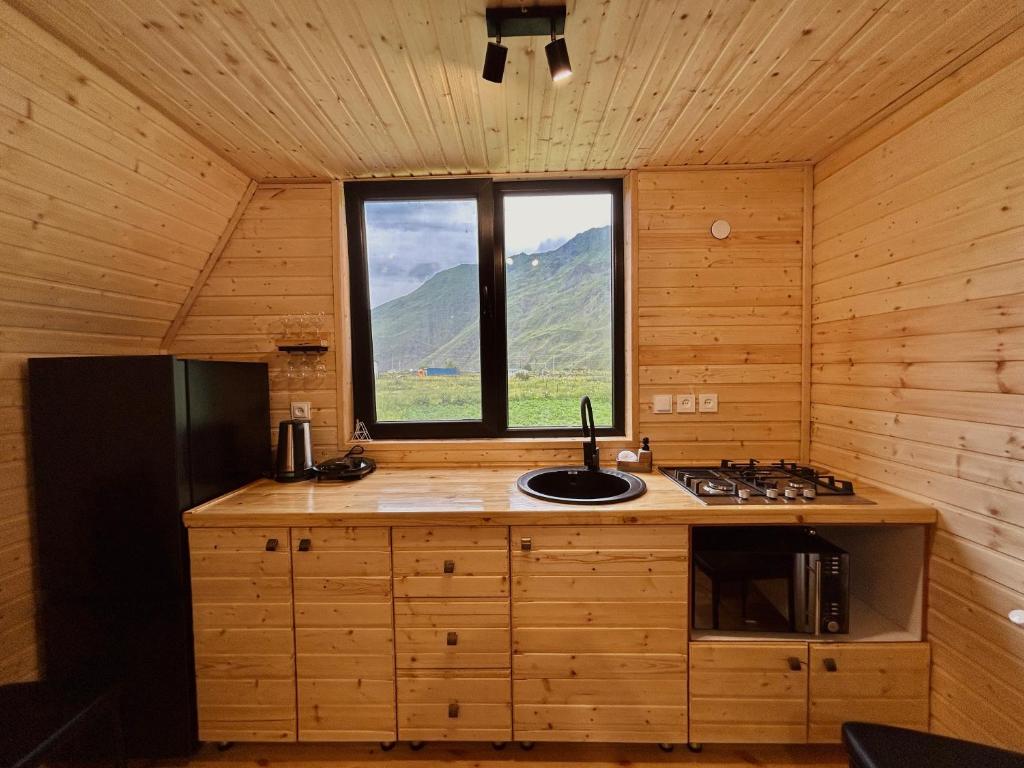 Kuchyň nebo kuchyňský kout v ubytování Cottage GORDA Kazbegi