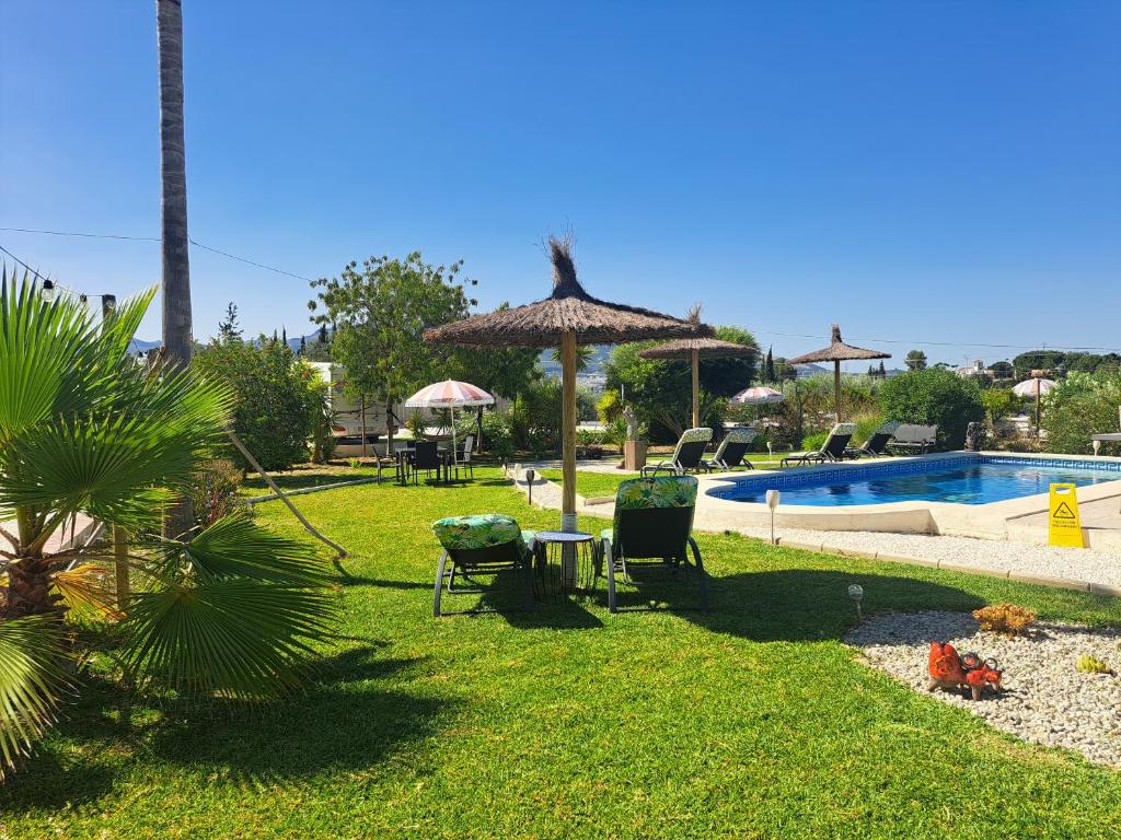 a yard with a swimming pool and chairs and an umbrella at B&B Go Spain in Alhaurín el Grande