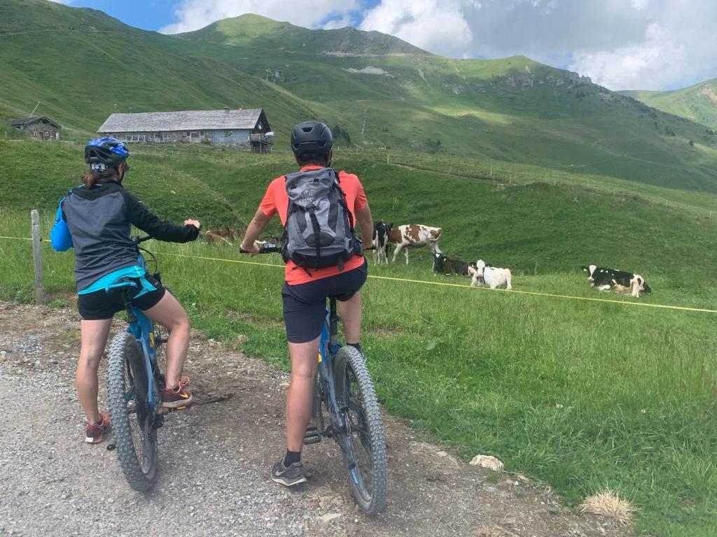 Hosté ubytování Chalet Montriond - Bike & Ski