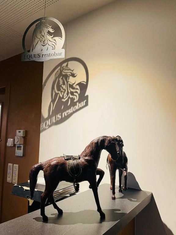 Hosté ubytování Equus B&B
