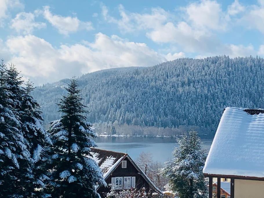 une maison avec vue sur un lac et une montagne dans l'établissement Duplex dans chalet avec superbe vue lac et piscine commune, à Gérardmer