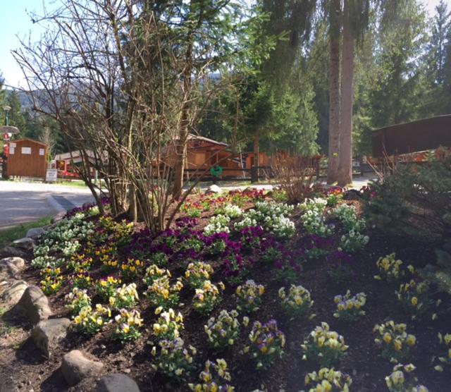 Zahrada ubytování Camping Village Boscoblu'