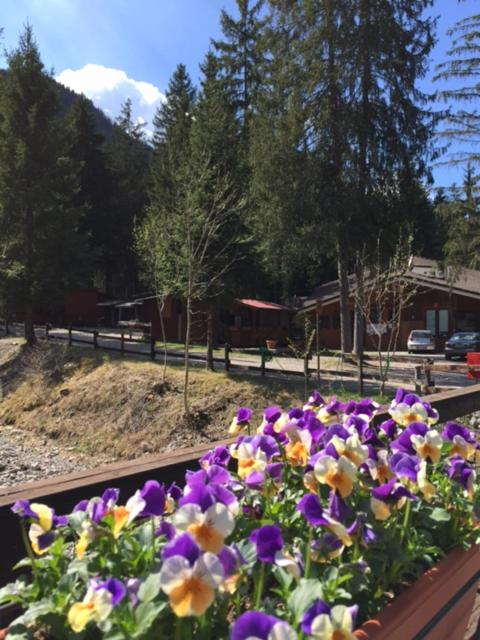 Zahrada ubytování Camping Village Boscoblu'