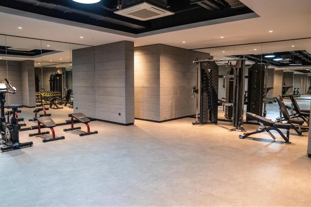 Fitness centrum a/nebo fitness zařízení v ubytování Family-friendly Home Near Taksim Square